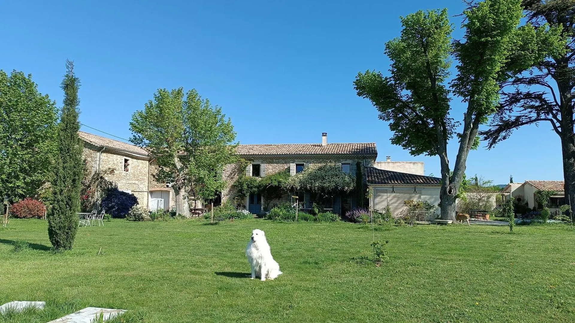 Charols La Boheme Bed & Breakfast